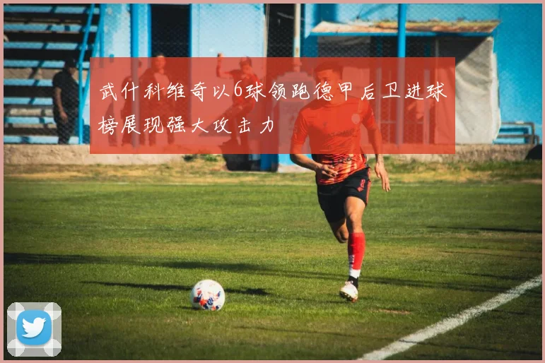 武什科维奇以6球领跑德甲后卫进球榜展现强大攻击力