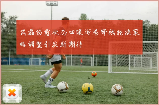 武磊伤愈状态回暖海港锋线轮换策略调整引发新期待